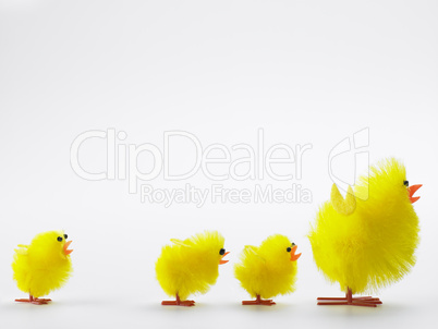 Family Of Easter Chicks