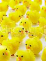 Abundance Of Easter Chicks