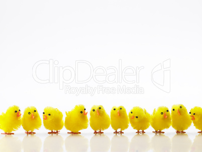 Easter Chicks In A Row
