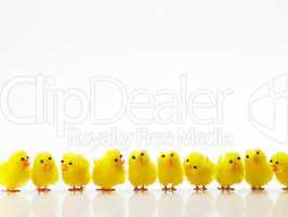 Easter Chicks In A Row