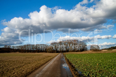 Herbstlandschaft