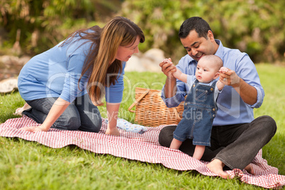 Happy Mixed Race Family Playing In The Park