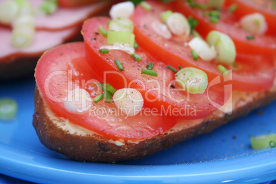 Tomatenbrot (A.Bogdanski)