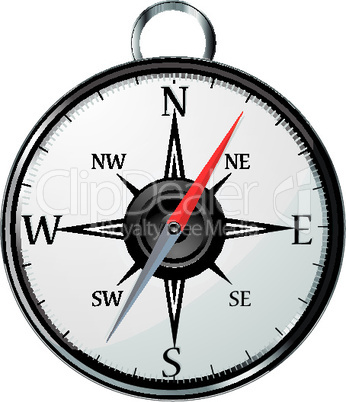 metallic compass