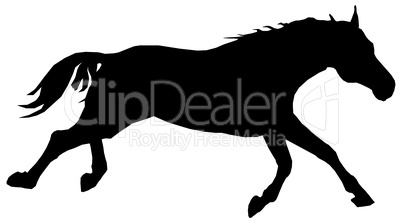 Silhouette of a horse