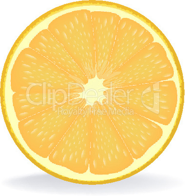 slice of orange