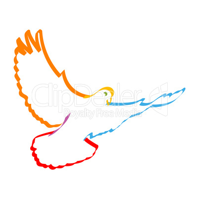 colorful dove