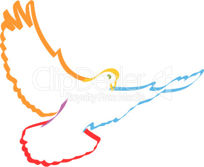 colorful dove symbolising peace