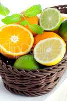 Zitrusfrüchte / citrus fruits