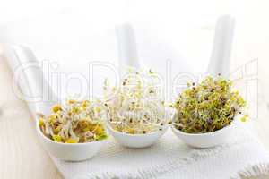 Sprossenmix / mix of sprouts