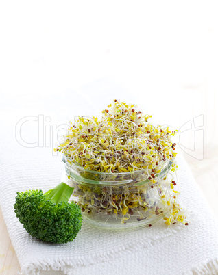 frische Sprossen im Glas / fresh sprouts in a glass