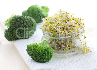 Brokkolisprossen /  broccoli sprouts