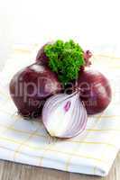 rote Zwiebeln / red onions