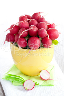 Radieschen in Schale / radish in bowl