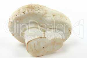 Macro picture of Organic White mushroom.