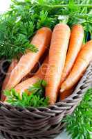 Karotten im Korb / carrot in basket