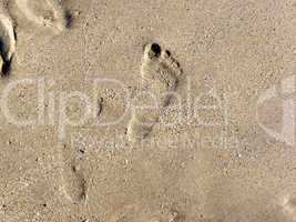 Footprint