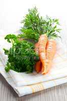 Karotten und Petersilie / carrot and parsley