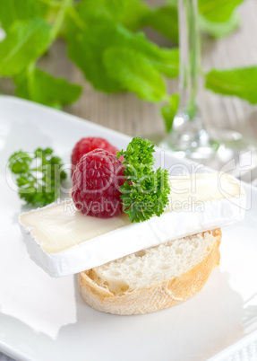 Appetizer mit Käse / appetizer with cheese