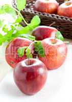 frische rote Äpfel / fresh red apples