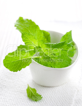 frische Minze in Schale / fresh mint in bowl