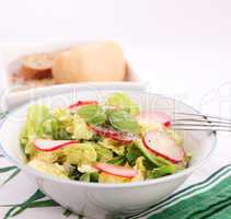 Grüner Salat mit Radieschen (Y.Bogdanski)
