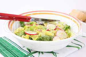 Frischer Salat (Y.Bogdanski)