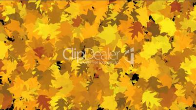 gold maple leaves dance background.life,lush,growth,seasons,autumn,harvest,hope,warmth,memories,middle-aged,elderly,Design,pattern,symbol,dream,vision,idea,creativity,vj,decorative,mind,Game,modern,stylish,dizziness,romance,romantic,Joy,happiness,happy,yo