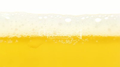 Beer foam, isolated on white, timelapse.