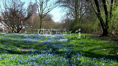 Frühling in Hamburg