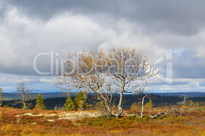 Schweden im Herbst