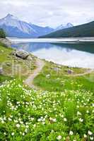 Mountain lake in Jasper National Park, Canada