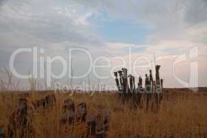 Landschaft in Namibia