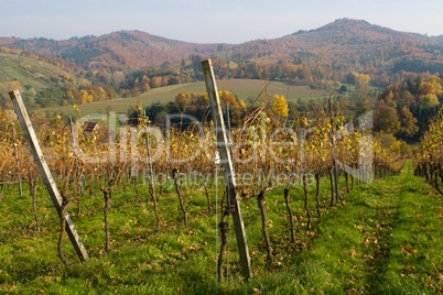 Dorf im Herbst