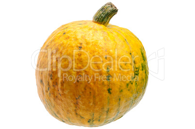 Yellow pumpkin isolated on white background.