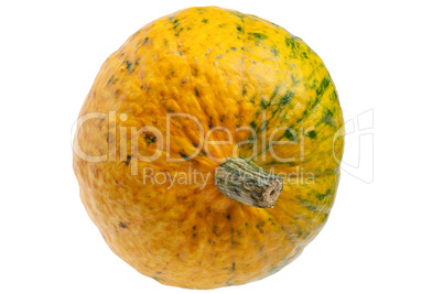 Colourful pumpkin isolated on white background.