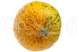Colourful pumpkin isolated on white background.