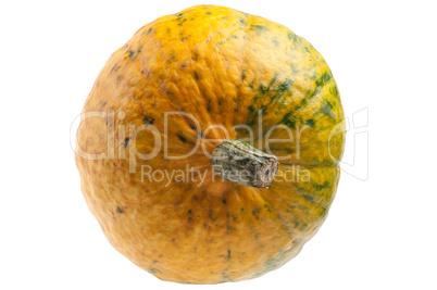 Colourful pumpkin isolated on white background.