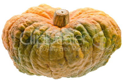 Colourful pumpkin isolated on white background.