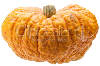 Orange pumpkin isolated on white background.