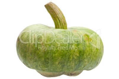 Green pumpkin isolated on white background.