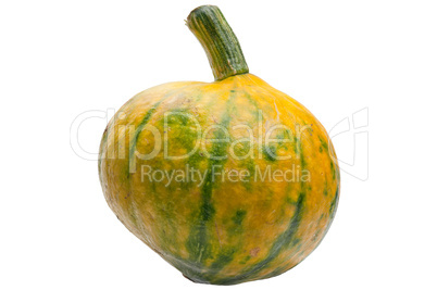 Colourful pumpkin isolated on white background.