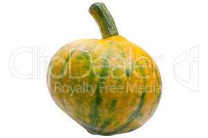 Colourful pumpkin isolated on white background.