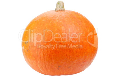 Orange pumpkin isolated on white background.