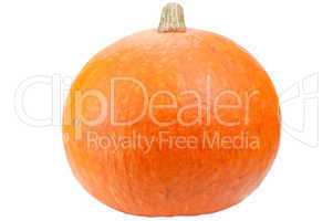 Orange pumpkin isolated on white background.