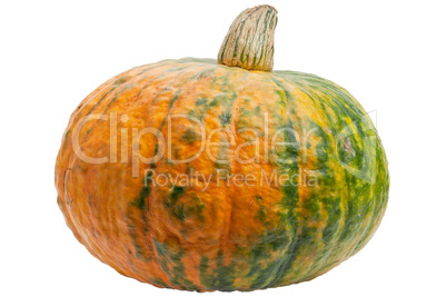 Colourful pumpkin isolated on white background.