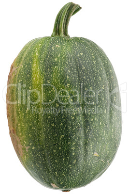 Green pumpkin isolated on white background.