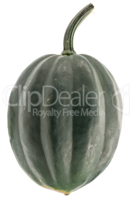 Green pumpkin isolated on white background.