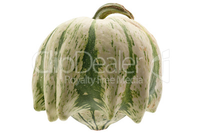 Colourful pumpkin isolated on white background.