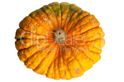 Colourful pumpkin isolated on white background.